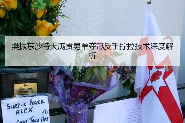樊振东沙特大满贯男单夺冠反手拧拉技术深度解析