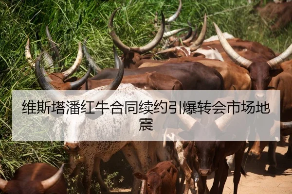 维斯塔潘红牛合同续约引爆转会市场地震