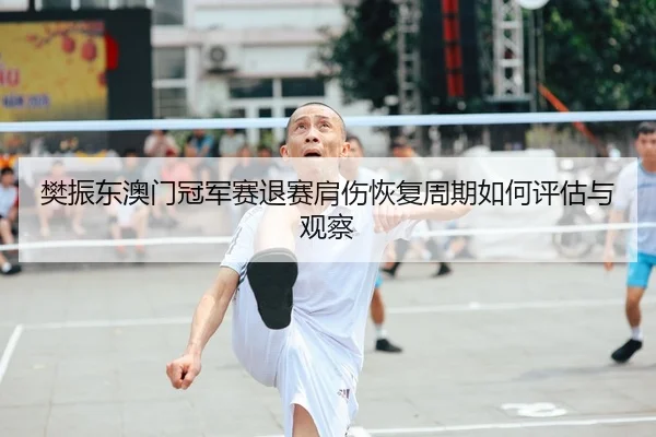 樊振东澳门冠军赛退赛肩伤恢复周期如何评估与观察